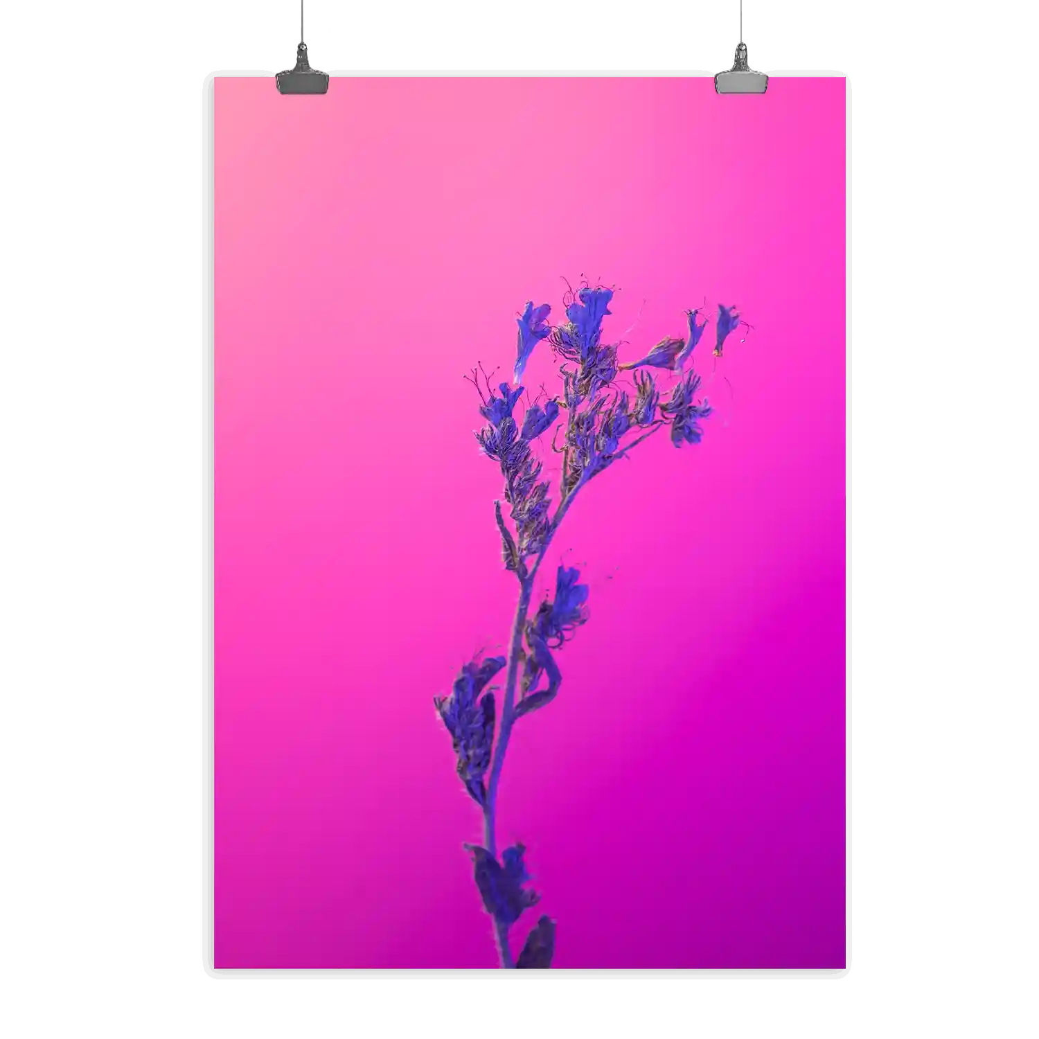 Minimalist Bloom Of A Delicate Flower Poster Poster